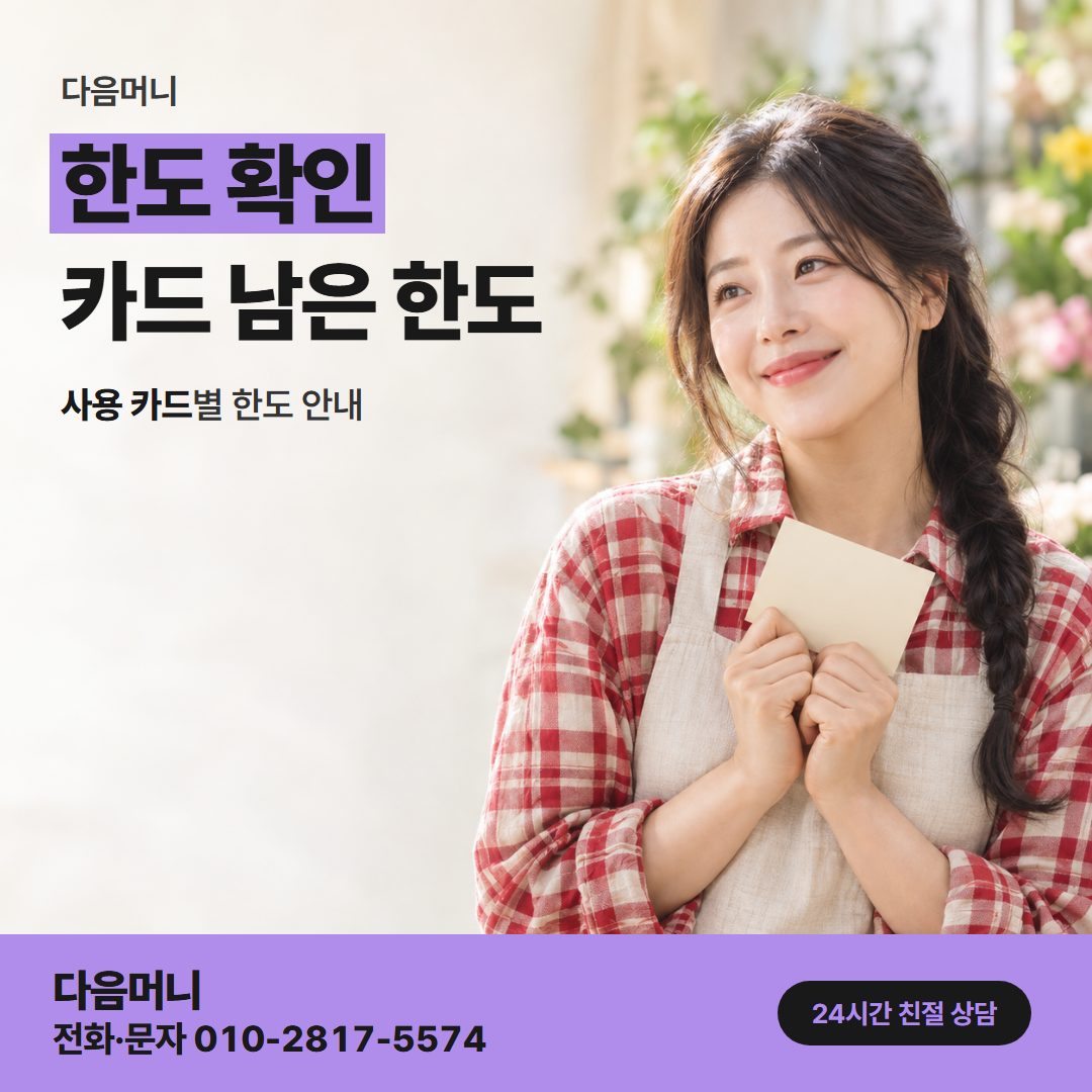 다음머니 진천카드깡 카드별 남은 한도를 조회하는 고객